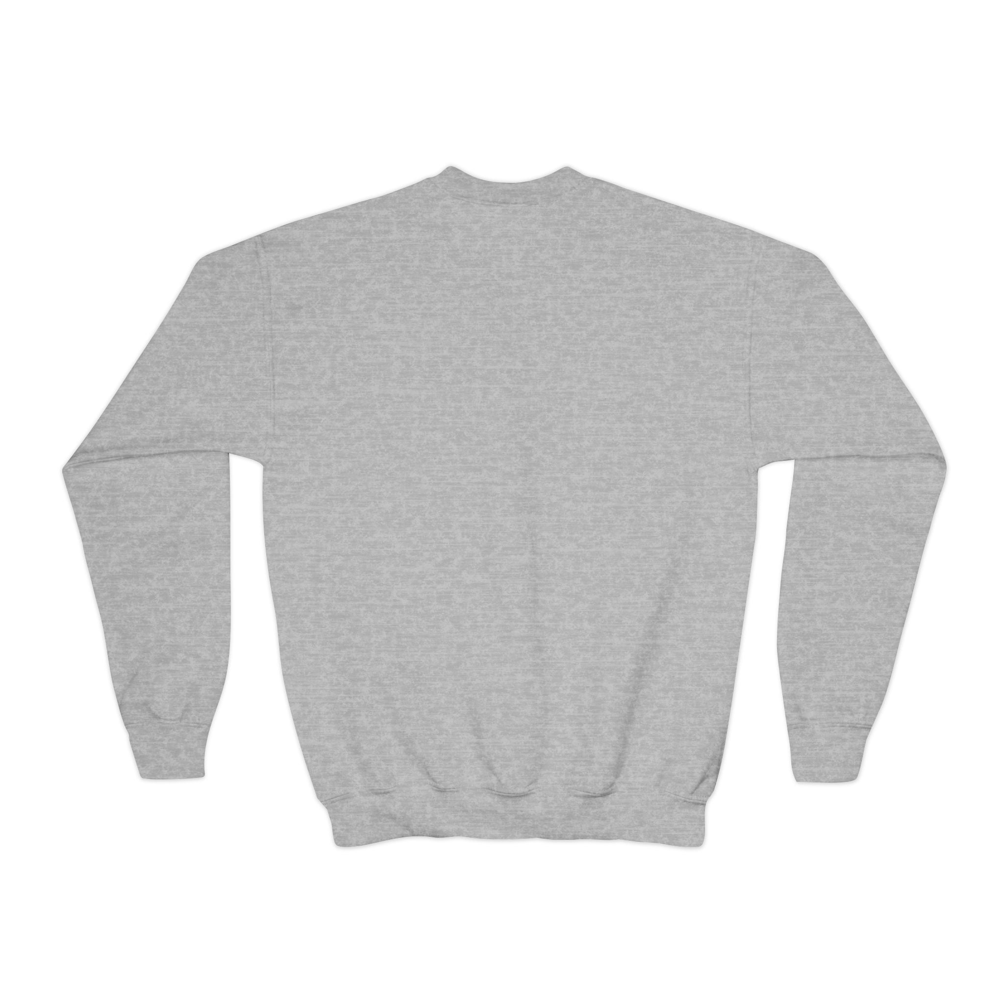 Youth Crewneck Sweatshirt with Fun Cartoon Graphics, Cozy Kids Sweater, Perfect for Everyday Wear, Birthday Gift, Holiday Apparel