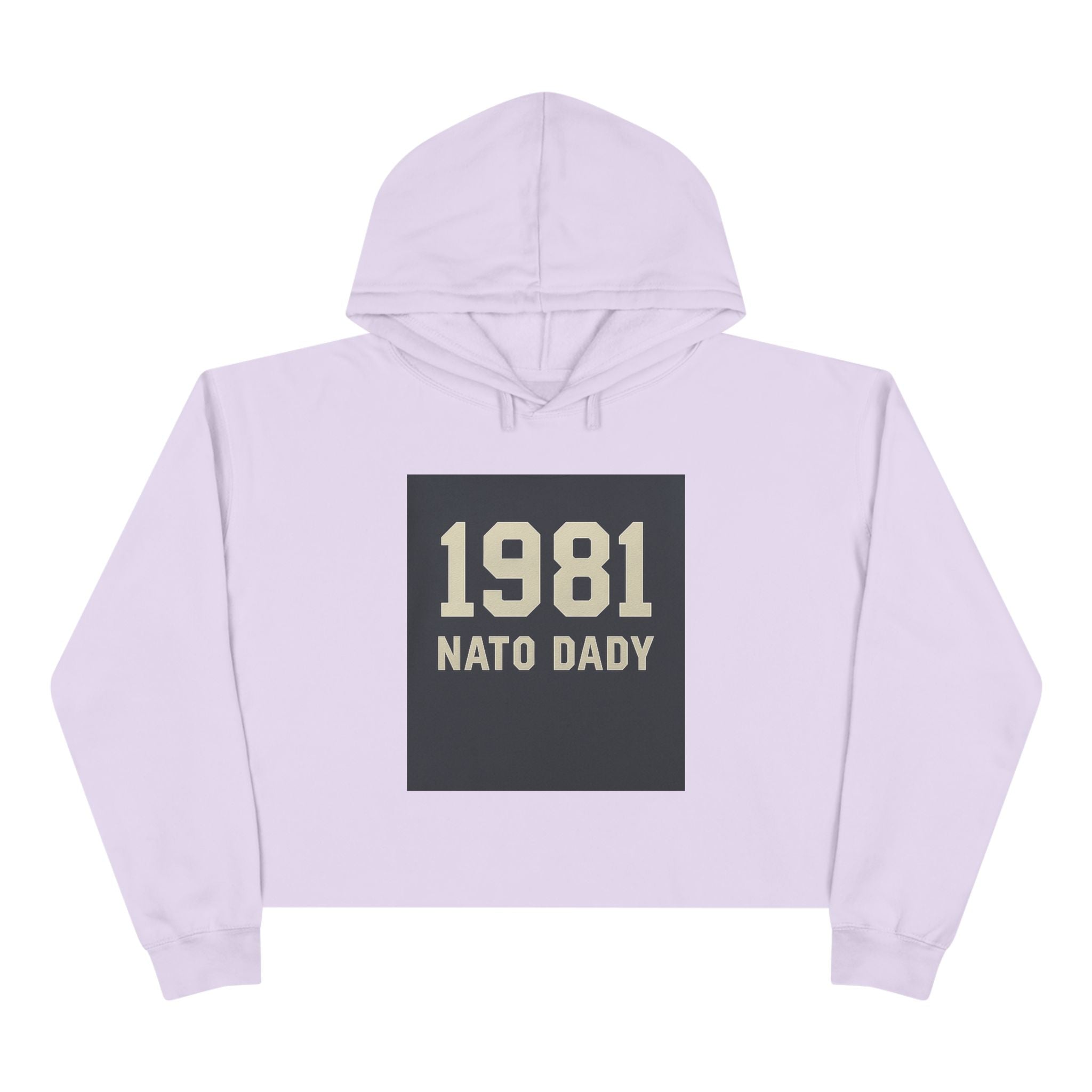 Vintage 1981 Crop Hoodie, Trendy Sweatshirt for Dads, Birthday Gift, Casual Wear, Throwback Style, Gift for Father's Day