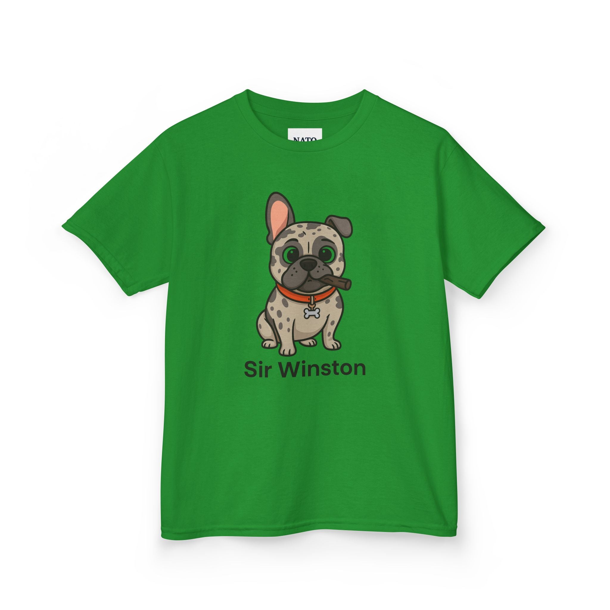 Sir Winston Dog Kids Tee, Cute Dog Shirt, Pet Lover Gift, Fun Casual Wear, Birthday Gift, Animal Lover Apparel