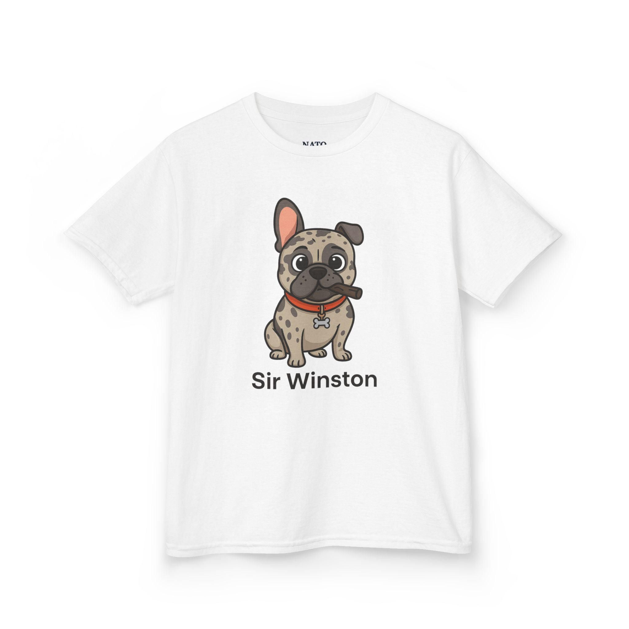 Sir Winston Dog Kids Tee, Cute Dog Shirt, Pet Lover Gift, Fun Casual Wear, Birthday Gift, Animal Lover Apparel