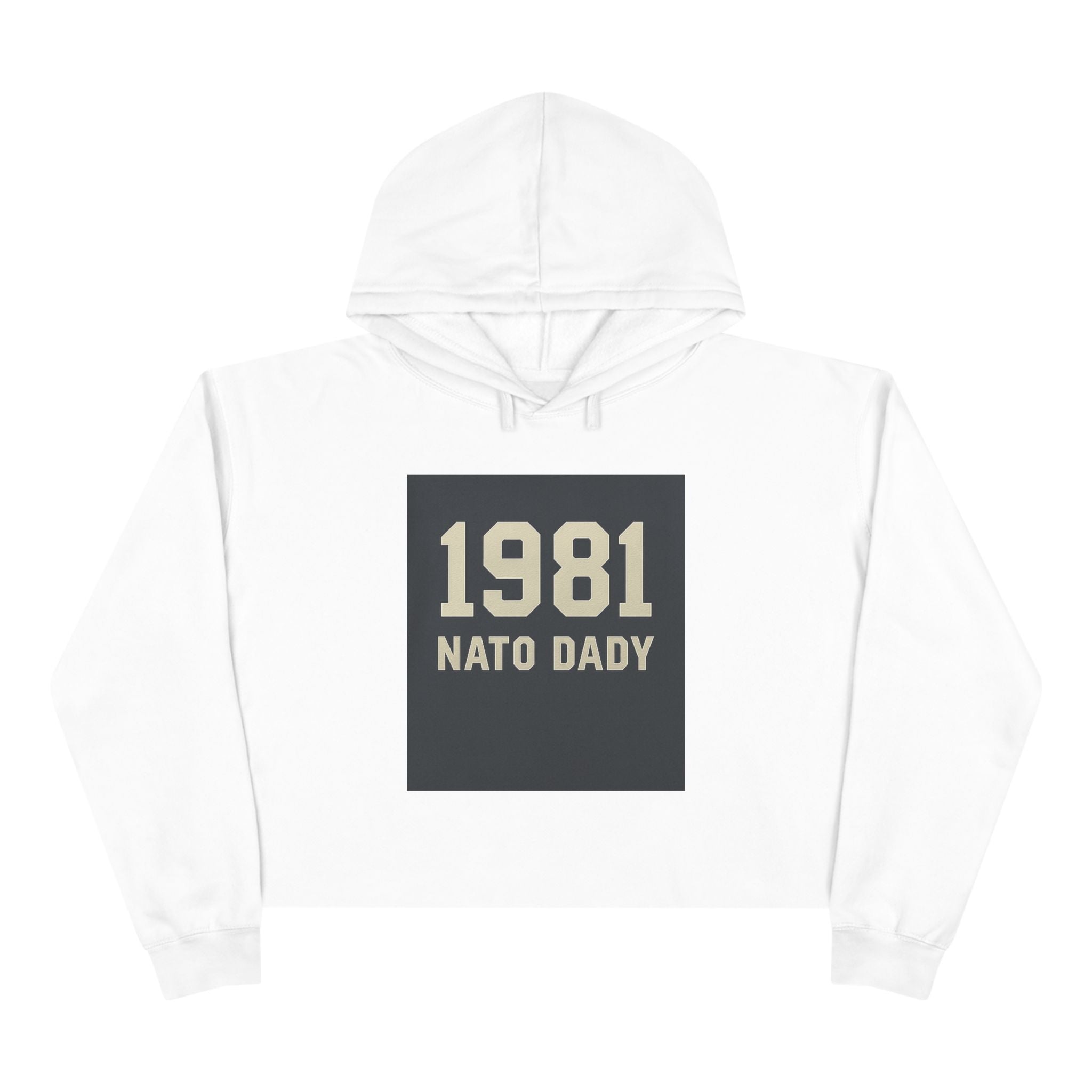 Vintage 1981 Crop Hoodie, Trendy Sweatshirt for Dads, Birthday Gift, Casual Wear, Throwback Style, Gift for Father's Day
