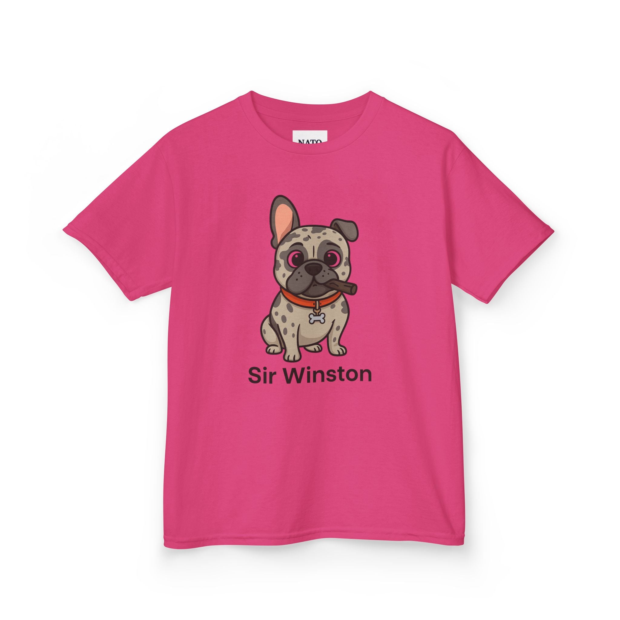 Sir Winston Dog Kids Tee, Cute Dog Shirt, Pet Lover Gift, Fun Casual Wear, Birthday Gift, Animal Lover Apparel