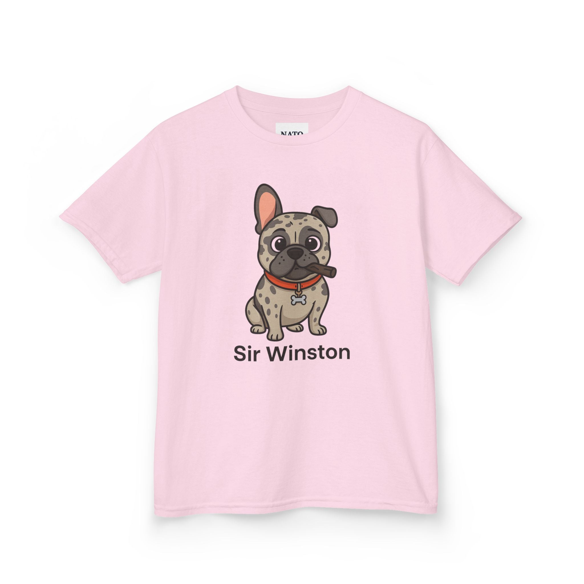 Sir Winston Dog Kids Tee, Cute Dog Shirt, Pet Lover Gift, Fun Casual Wear, Birthday Gift, Animal Lover Apparel