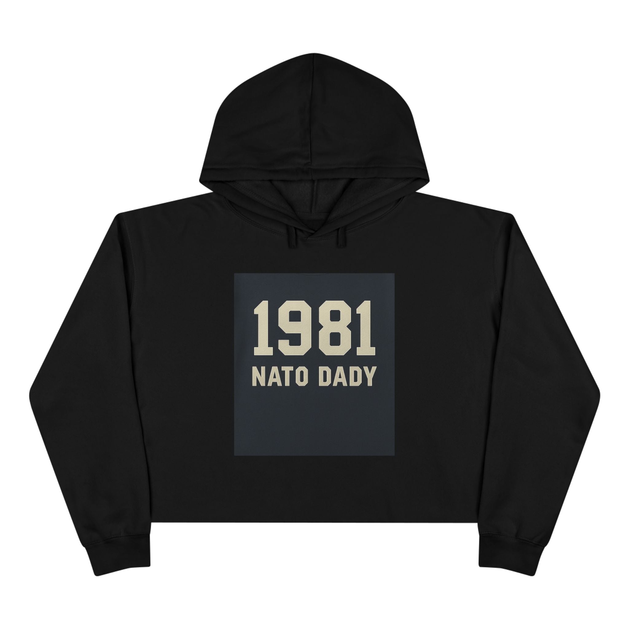 Vintage 1981 Crop Hoodie, Trendy Sweatshirt for Dads, Birthday Gift, Casual Wear, Throwback Style, Gift for Father's Day