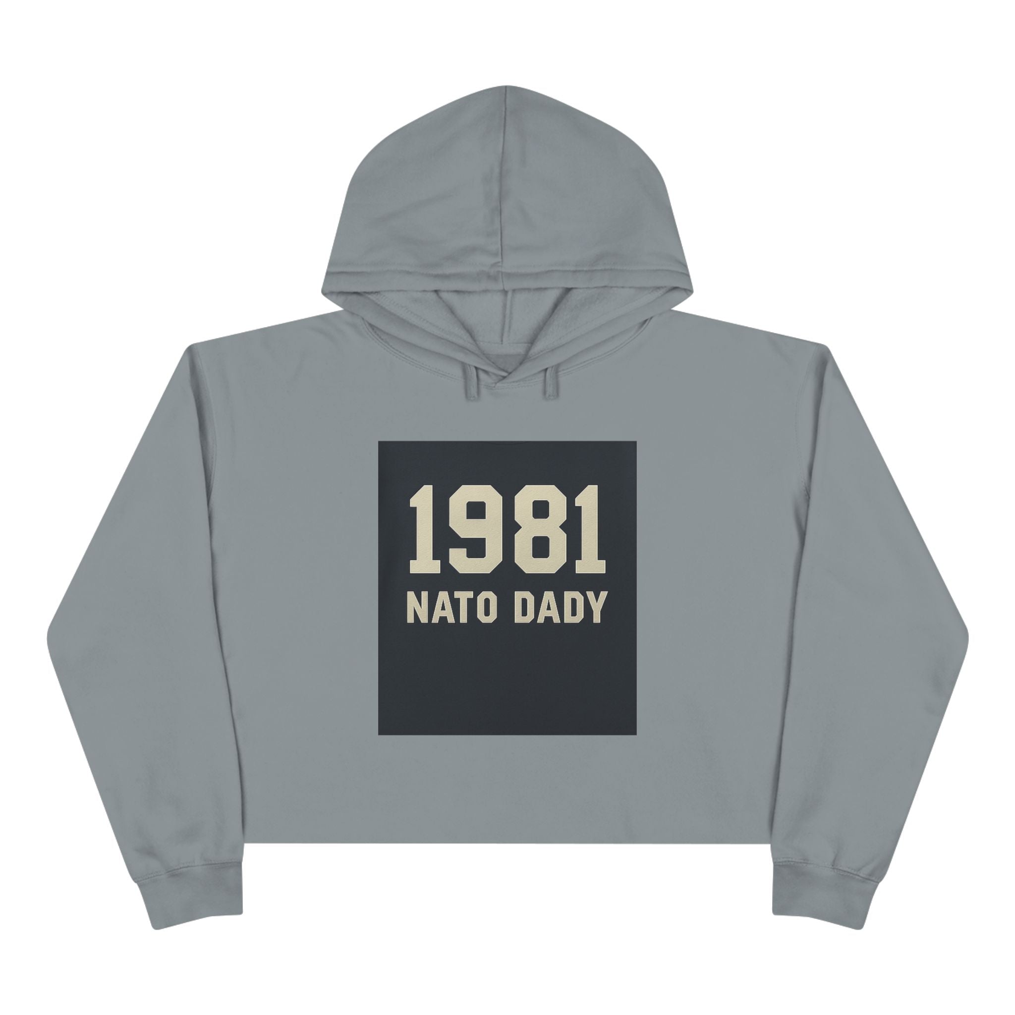 Vintage 1981 Crop Hoodie, Trendy Sweatshirt for Dads, Birthday Gift, Casual Wear, Throwback Style, Gift for Father's Day