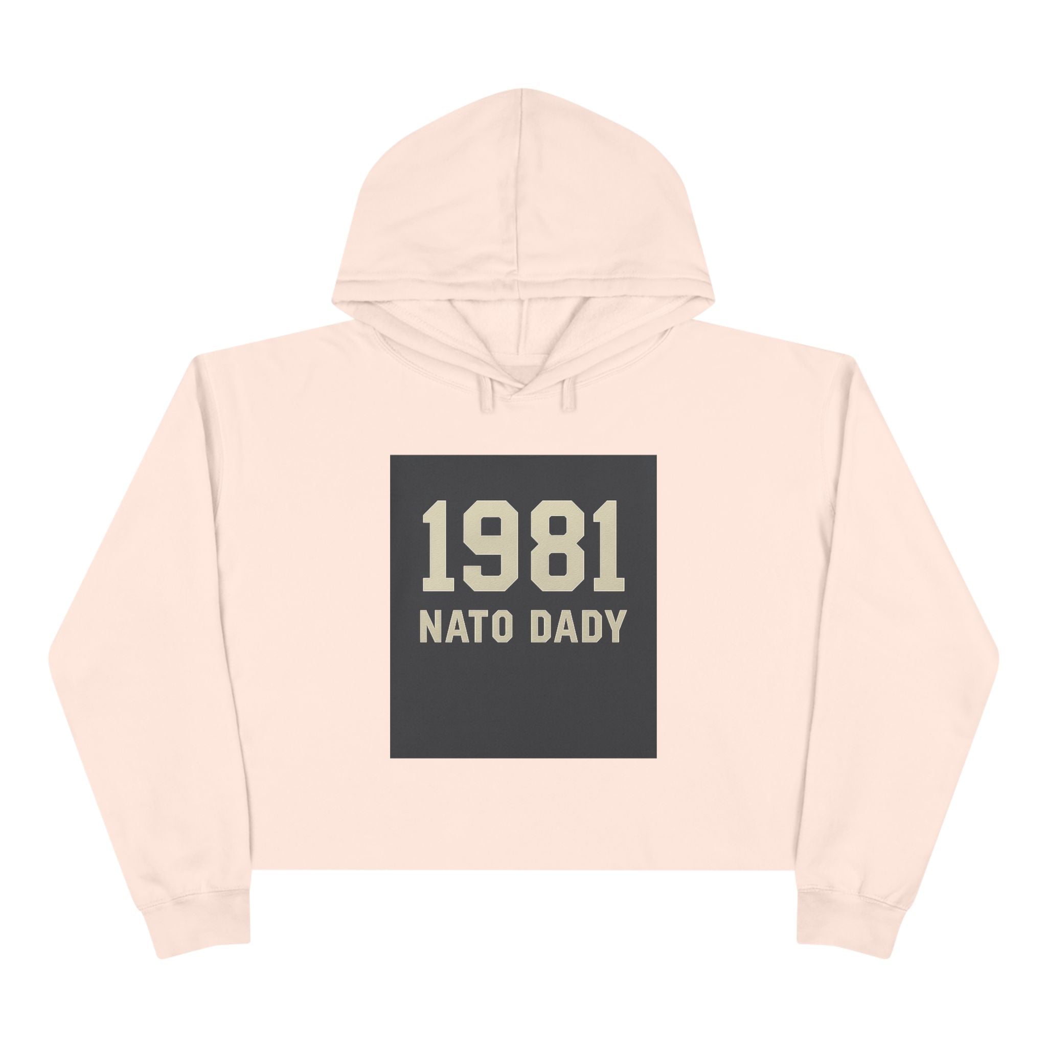 Vintage 1981 Crop Hoodie, Trendy Sweatshirt for Dads, Birthday Gift, Casual Wear, Throwback Style, Gift for Father's Day