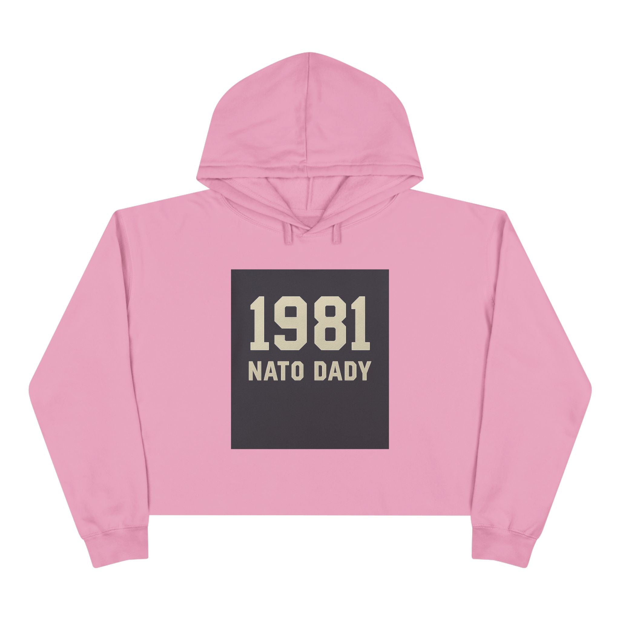 Vintage 1981 Crop Hoodie, Trendy Sweatshirt for Dads, Birthday Gift, Casual Wear, Throwback Style, Gift for Father's Day